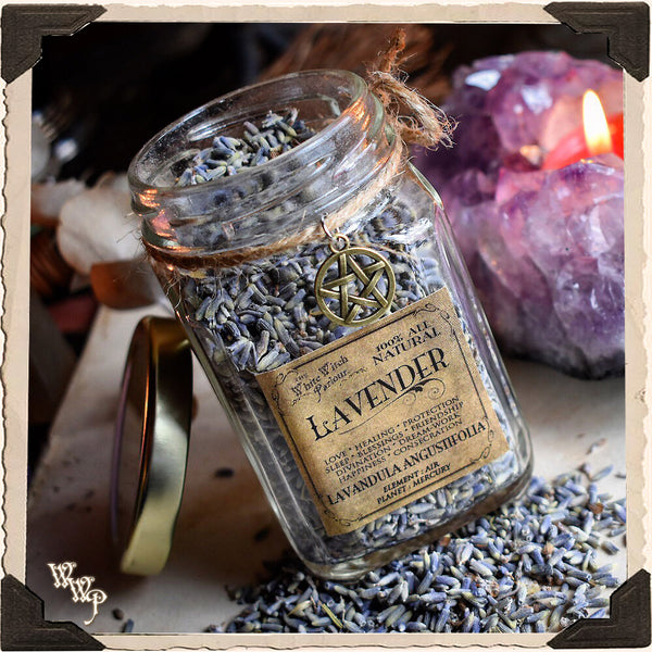 LAVENDER BUDS APOTHECARY. Dried Herbs. For Relaxation, Divination, Meditation & Sleep. White Witch Parlour