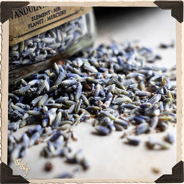 LAVENDER BUDS APOTHECARY. Dried Herbs. For Relaxation, Divination, Meditation & Sleep. White Witch Parlour