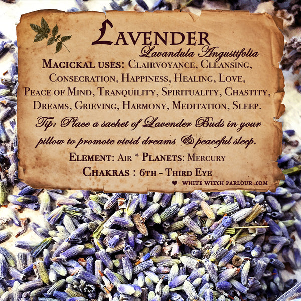 LAVENDER BUDS APOTHECARY. Dried Herbs. For Relaxation, Divination, Meditation & Sleep. White Witch Parlour
