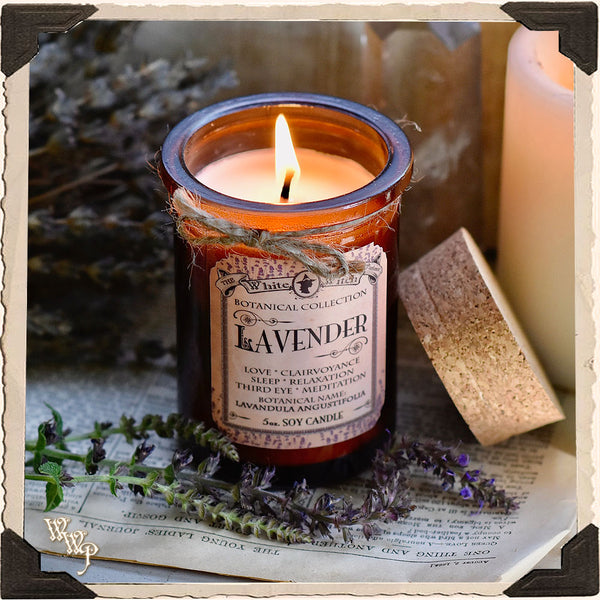 LAVENDER CANDLE APOTHECARY 5oz. For Meditation, Sleep & Divination.