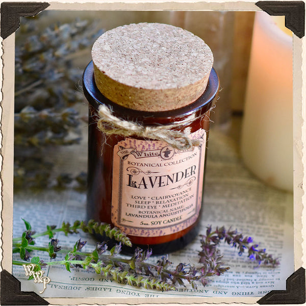 LAVENDER CANDLE APOTHECARY 5oz. For Meditation, Sleep & Divination. White Witch Parlour