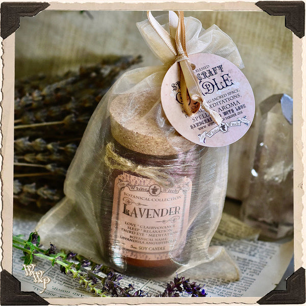 LAVENDER CANDLE APOTHECARY 5oz. For Meditation, Sleep & Divination. White Witch Parlour