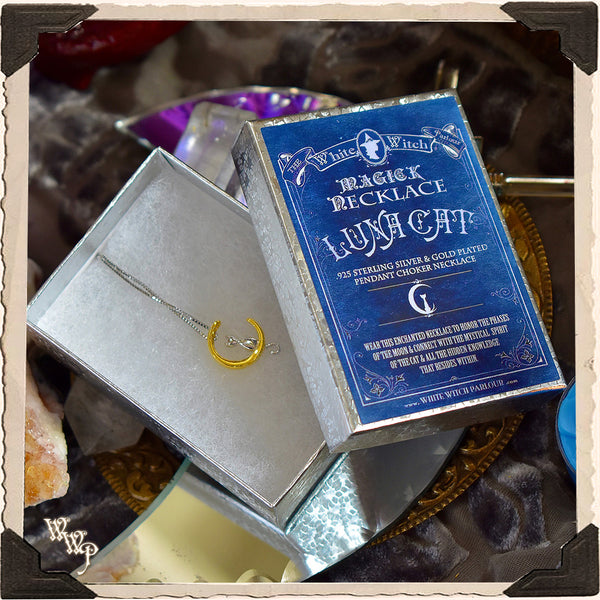 LUNA MOON CAT NECKLACE. Sterling Silver Talisman for Goddess Magick & Witchcraft Phases. White Witch Parlour
