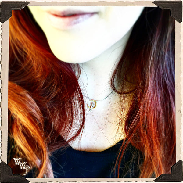 LUNA MOON CAT NECKLACE. Sterling Silver Talisman for Goddess Magick & Witchcraft Phases. White Witch Parlour