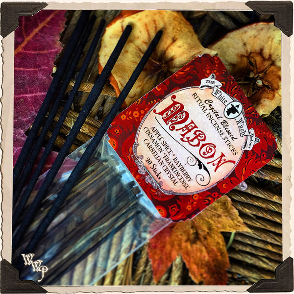 MABON INCENSE. 20 Stick Pack. Autumn Equinox. Scent of Apple Spice, Cinnamon, Bayberry & Frankincense. Blessed by Carnelian Crystal. White Witch Parlour