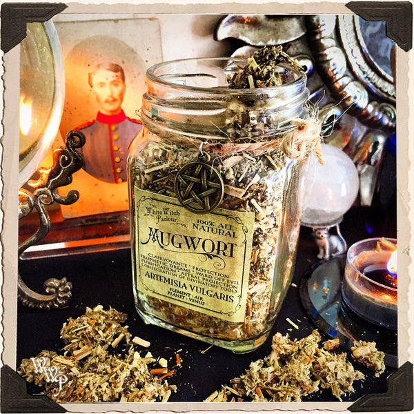 MUGWORT APOTHECARY. Dried Herbs. For Clairvoyance, Protection & Consecration. White Witch Parlour