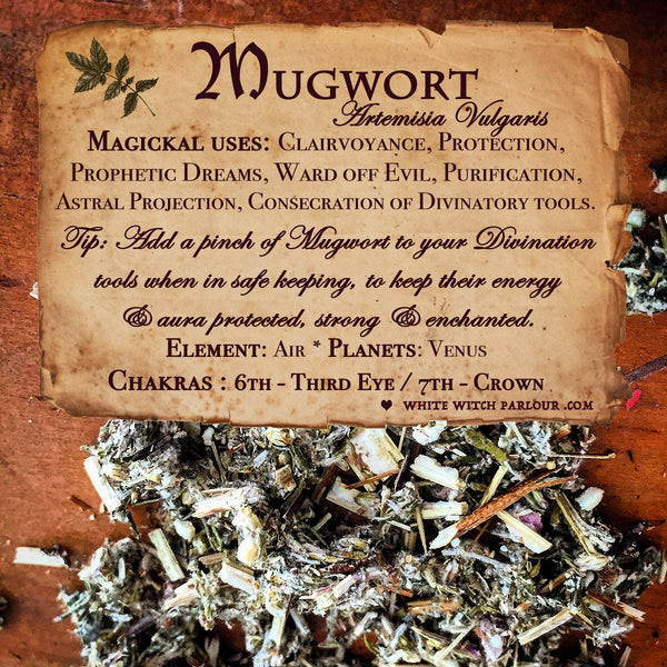 MUGWORT APOTHECARY. Dried Herbs. For Clairvoyance, Protection & Consecration. White Witch Parlour