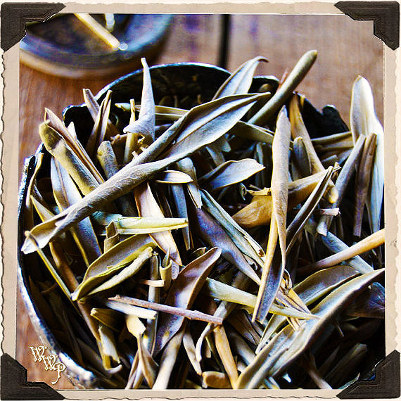 OLIVE LEAVES APOTHECARY. Dried Herbs. For Peace, Healing & Balance. White Witch Parlour
