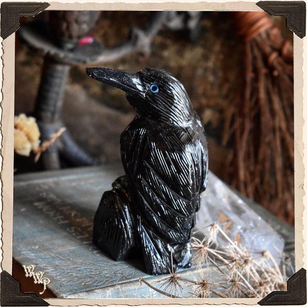 BLACK ONYX RAVEN. Spirit Animal Totem, Gemstone of Protection & Wisdom. White Witch Parlour