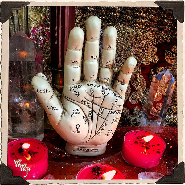 PALMISTRY HAND & INFORMATION BOOKLET KIT. For Fortune Telling & Life Path Guidance. White Witch Parlour