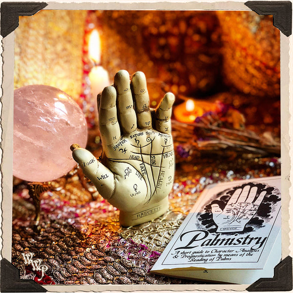 PALMISTRY HAND & INFORMATION BOOKLET KIT. For Fortune Telling & Life Path Guidance. White Witch Parlour
