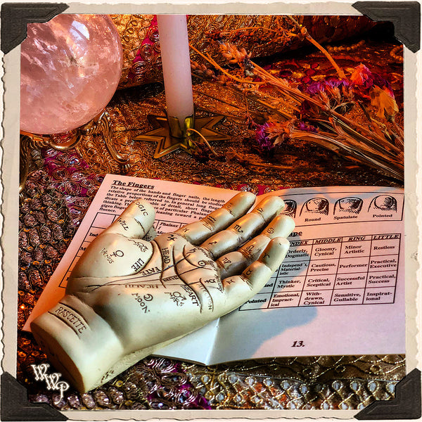 PALMISTRY HAND & INFORMATION BOOKLET KIT. For Fortune Telling & Life Path Guidance. White Witch Parlour