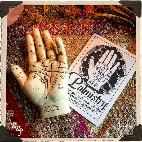 PALMISTRY HAND & INFORMATION BOOKLET KIT. For Fortune Telling & Life Path Guidance. White Witch Parlour