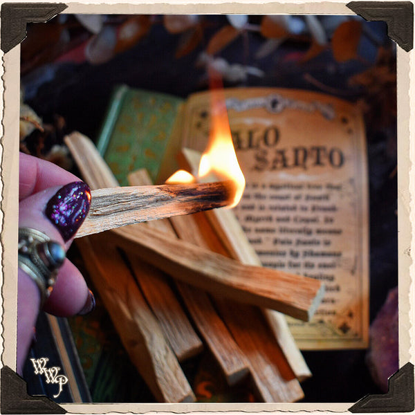 PALO SANTO SMUDGE WANDS: 7 Pack For Spiritual Cleansing, Healing, Enlightenment. White Witch Parlour
