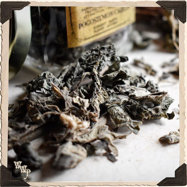 PATCHOULI APOTHECARY. Dried Herbs.  For Money, Prosperity, Lust & Manifestation.