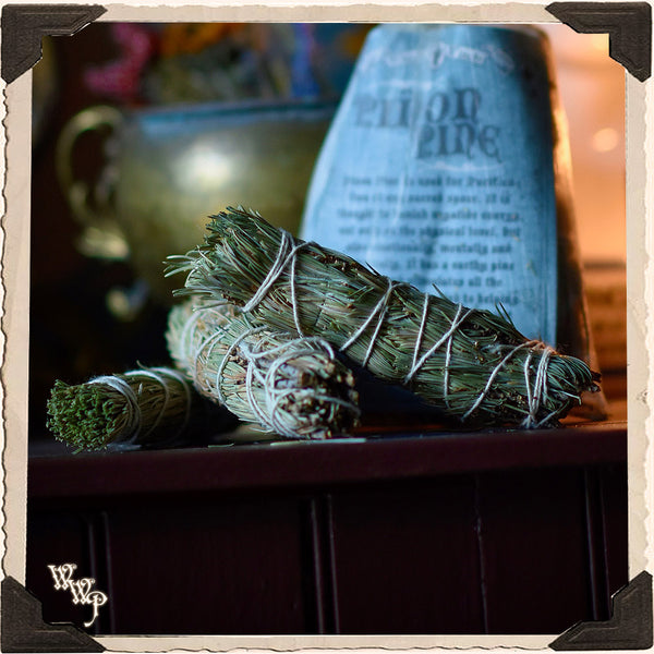 SMUDGE WANDS: PINON PINE 3 Pack For Spiritual Cleansing, Control, Meditation. White Witch Parlour