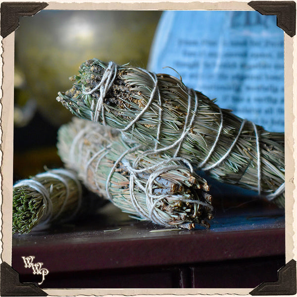 SMUDGE WANDS: PINON PINE 3 Pack For Spiritual Cleansing, Control, Meditation. White Witch Parlour
