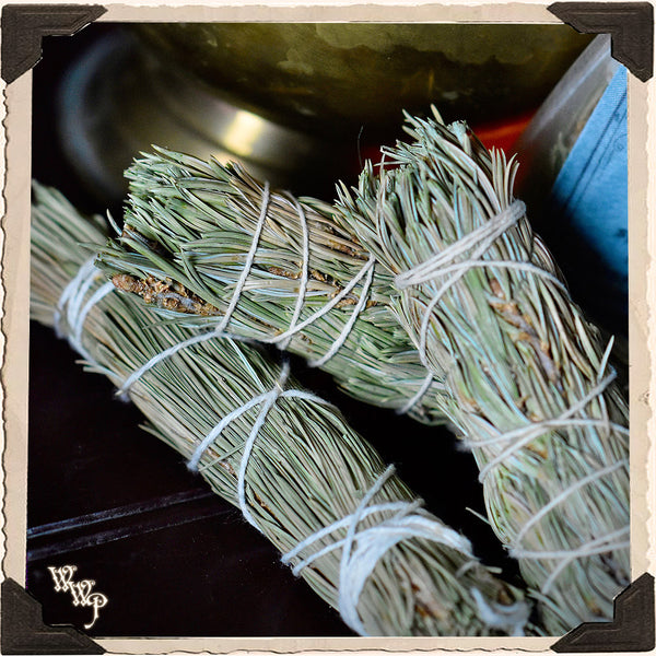 SMUDGE WANDS: PINON PINE 3 Pack For Spiritual Cleansing, Control, Meditation. White Witch Parlour