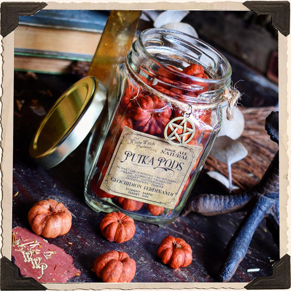 PUTKA PODS APOTHECARY. Dried Herbs. For Warmth, Comfort & Family Togetherness. White Witch Parlour