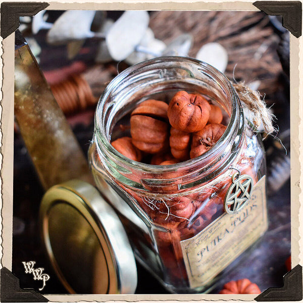 PUTKA PODS APOTHECARY. Dried Herbs. For Warmth, Comfort & Family Togetherness. White Witch Parlour