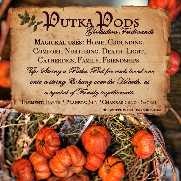 PUTKA PODS APOTHECARY. Dried Herbs. For Warmth, Comfort & Family Togetherness. White Witch Parlour