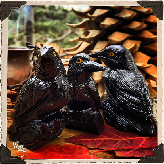 BLACK ONYX RAVEN. Spirit Animal Totem, Gemstone of Protection & Wisdom. White Witch Parlour