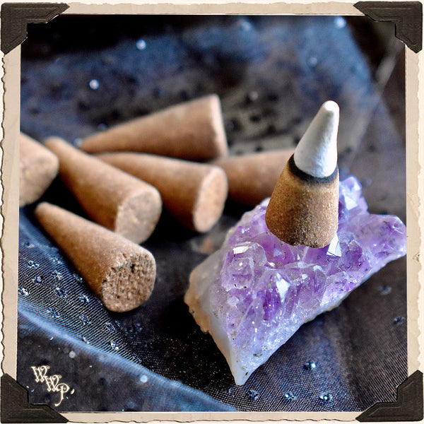 RAVEN CONE INCENSE. Animal Totem for Insight, Magick, Protection & Creation. White Witch Parlour