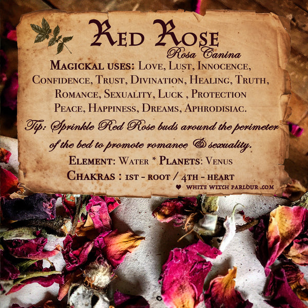 RED ROSE BUDS APOTHECARY. Dried Herbs. For Love, Trust & Innocence. White Witch Parlour