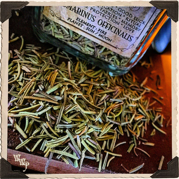 ROSEMARY APOTHECARY. Dried Herbs. For Warding Off Evil Spirits, Psychic Detox & Purification. White Witch Parlour