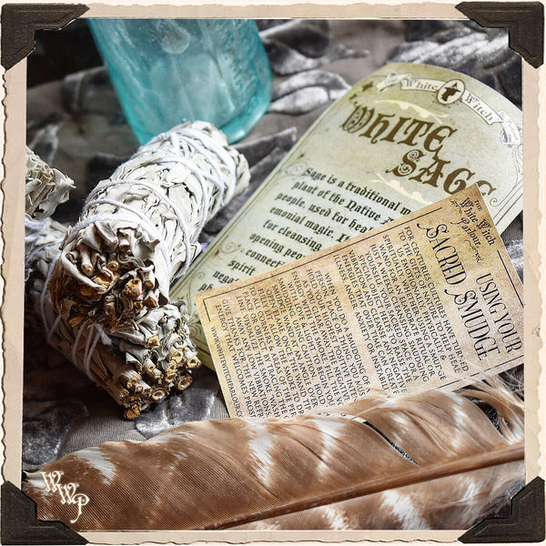 SMUDGE WANDS: WHITE SAGE 3 Pack For Spiritual Cleansing, Purification, Wishes, Divination & Meditation. White Witch Parlour