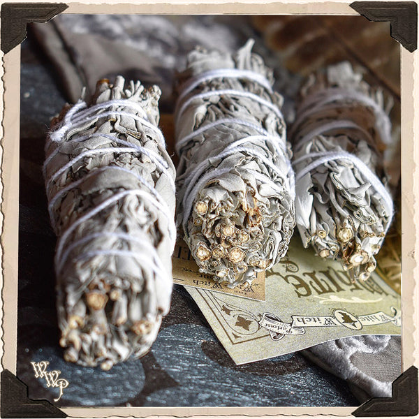 SMUDGE WANDS: WHITE SAGE 3 Pack For Spiritual Cleansing, Purification, Wishes, Divination & Meditation. White Witch Parlour