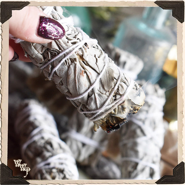 SMUDGE WANDS: WHITE SAGE 3 Pack For Spiritual Cleansing, Purification, Wishes, Divination & Meditation. White Witch Parlour