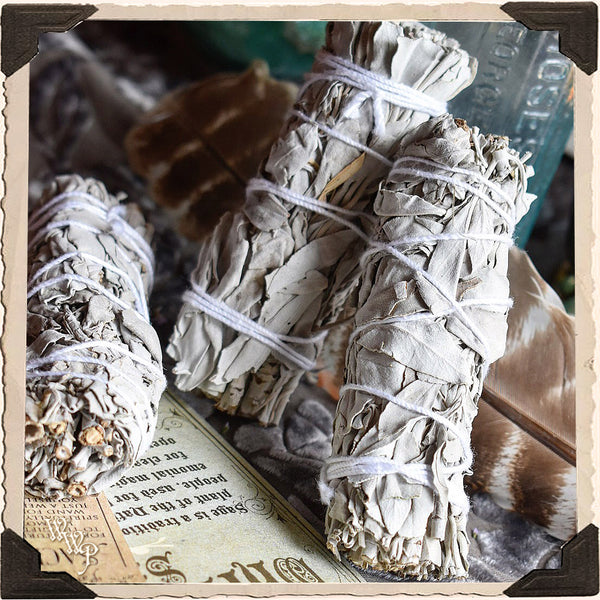 SMUDGE WANDS: WHITE SAGE 3 Pack For Spiritual Cleansing, Purification, Wishes, Divination & Meditation. White Witch Parlour