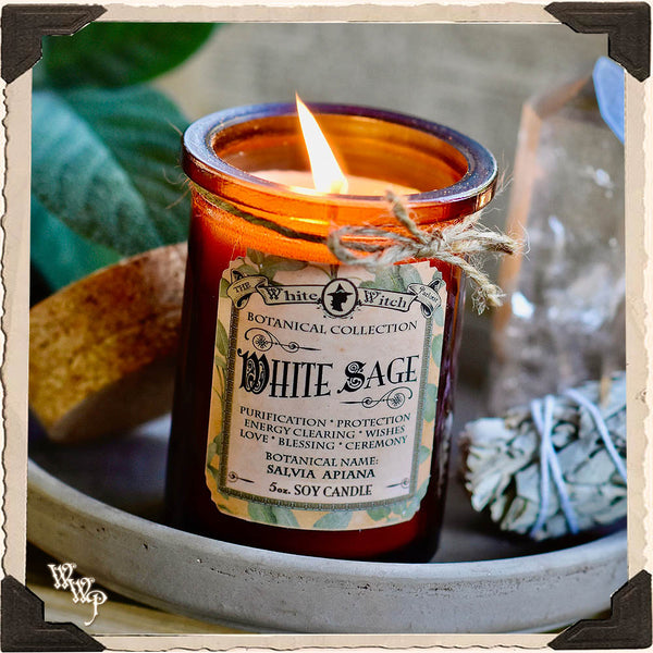 WHITE SAGE CANDLE APOTHECARY 5oz.For Wishes, Energy Clearing & Ceremony Work. White Witch Parlour
