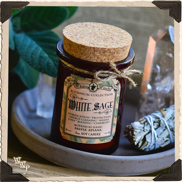 WHITE SAGE CANDLE APOTHECARY 5oz.For Wishes, Energy Clearing & Ceremony Work. White Witch Parlour