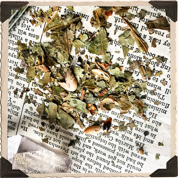 WITCH HAZEL APOTHECARY. Dried Herbs. For Inspiration, Healing, Wisdom & Cleansing. White Witch Parlour
