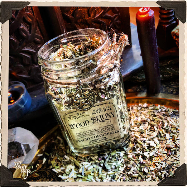 WOOD BETONY Dried Herbs. For Protection, Ghosts , Blocking Negative & Evil Energies White Witch Parlour