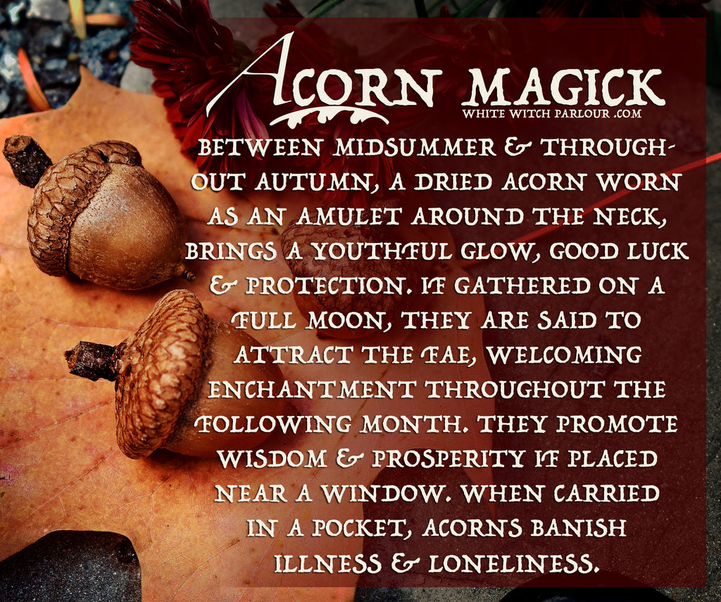 Acorn Magick