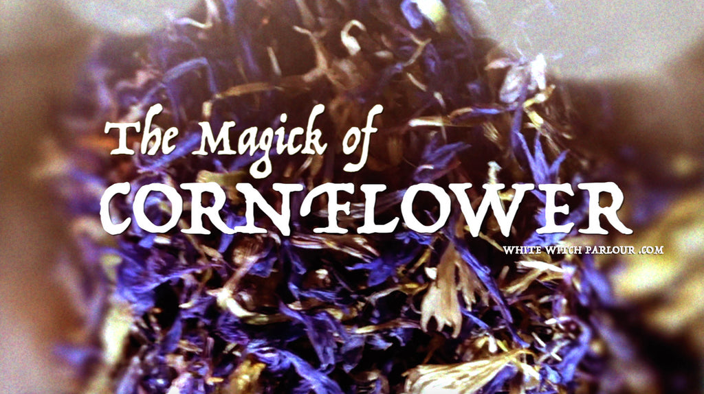 The Magick of Cornflower