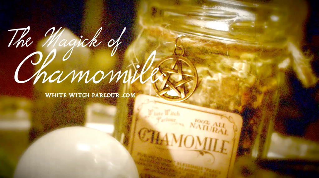 The Magick of Chamomile