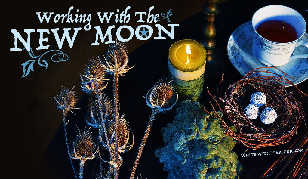 Working with the New Moon