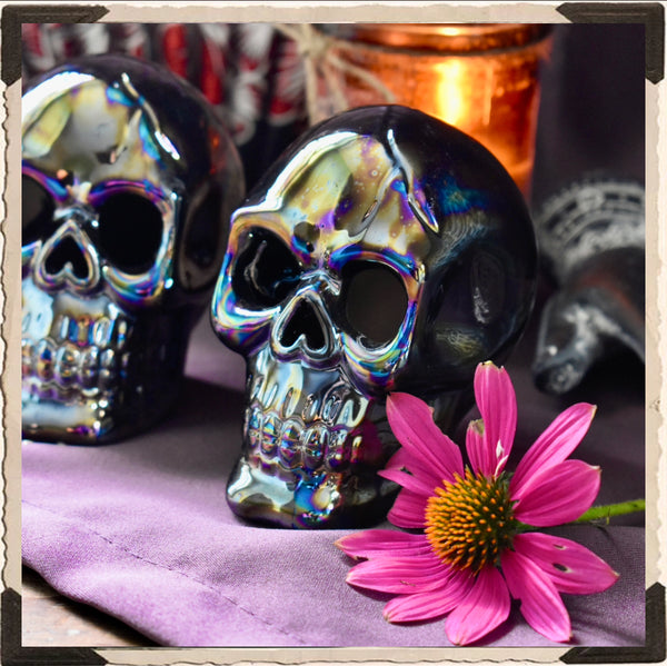 Chrome Colored SKULL DECOR . For Altar Decor, Samhain & Dia Del Los Muertos White Witch Parlour