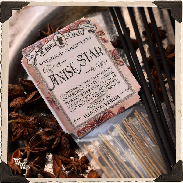 ANISE STAR INCENSE. 20 Stick Pack. Single-Note Botanical. For Clarity, Awakening & Clairvoyance