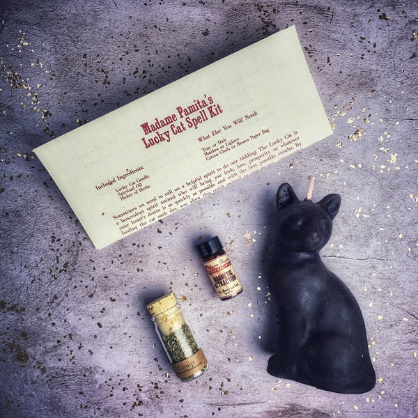 Lucky Cat Candle Spell Kit