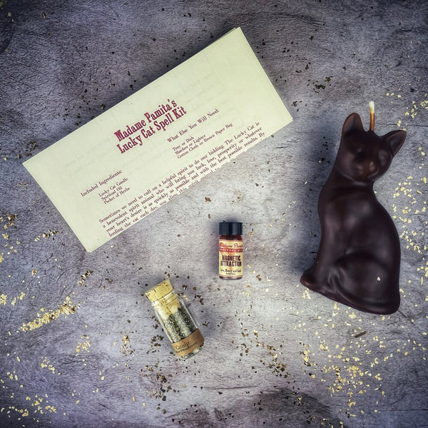Lucky Cat Candle Spell Kit