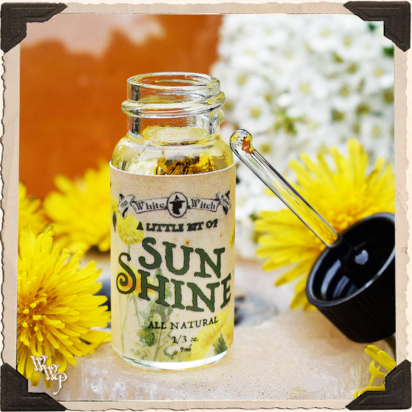 A LITTLE BIT OF SUNSHINE All Natural Dandelion Oil. For Sun Energy, Joy & Vibrancy.