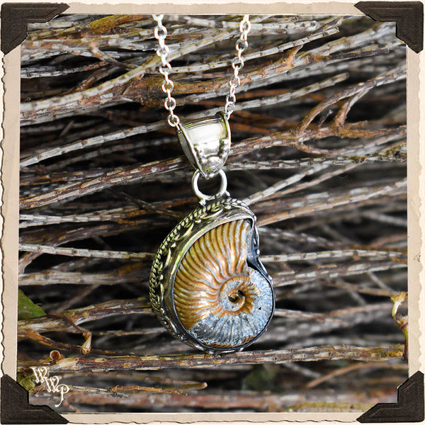 LIMITED EDITION : OPAL AMMONITE FOSSIL NECKLACE. For Grounding, Life Patterns & Synchronicity. Sterling Silver