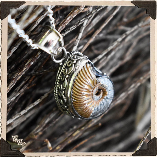 LIMITED EDITION : OPAL AMMONITE FOSSIL NECKLACE. For Grounding, Life Patterns & Synchronicity. Sterling Silver