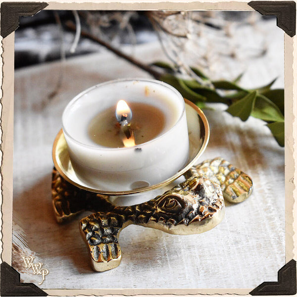 BRASS FROG. Altar Decor For Luck, Fertility, Transformation & Purity. White Witch Parlour