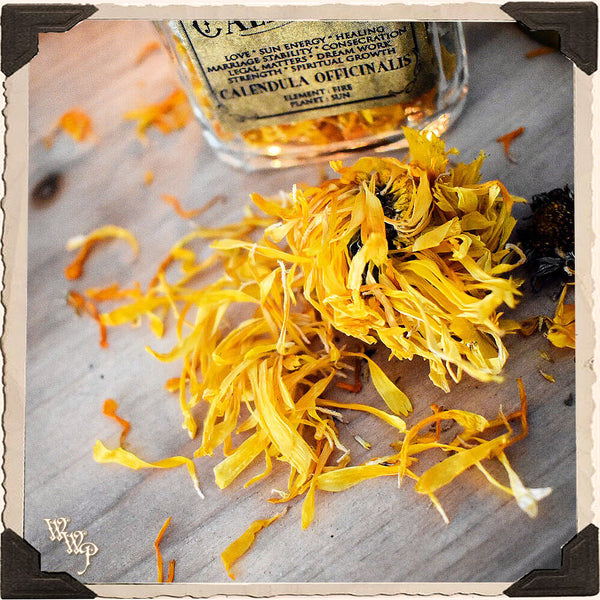 CALENDULA APOTHECARY. Calendula Officinalis Dried Herbs. For Sun Energy, Healing & Strength